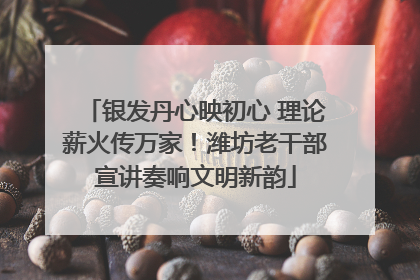 银发丹心映初心 理论薪火传万家！潍坊老干部宣讲奏响文明新韵
